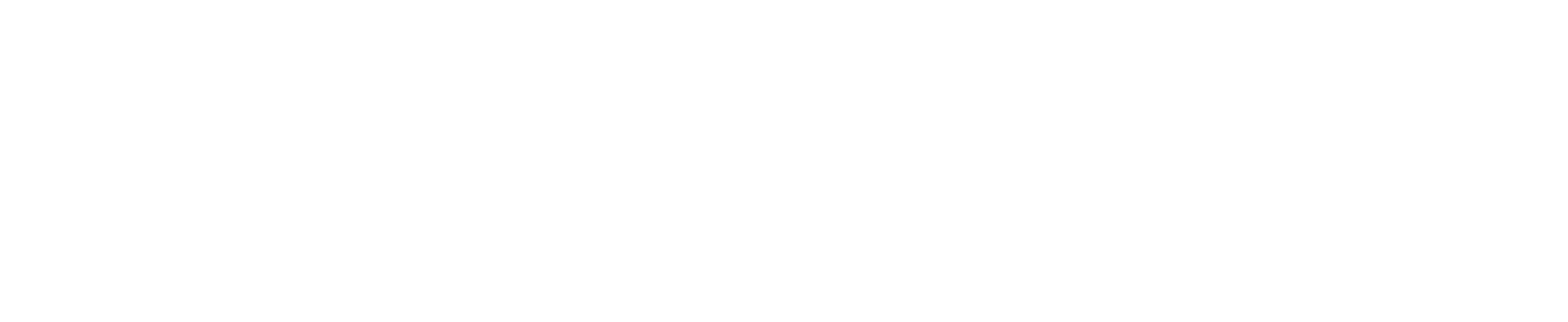 Paylinium